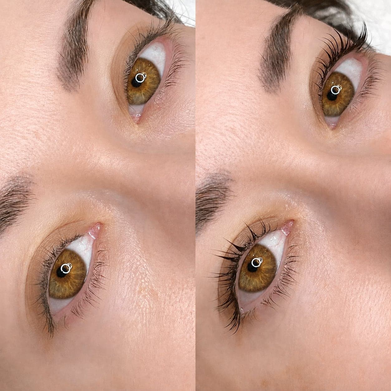 Lash Tint